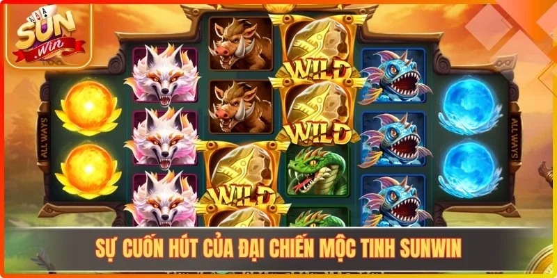 Sự cuốn hút của đại chiến Mộc Tinh Sunwin